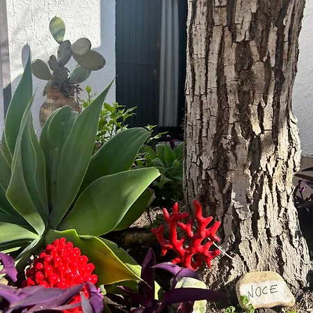 Casa Del Sileno 12 Apartman