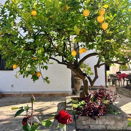 Casa Accanto Con Giardino E Quiete *