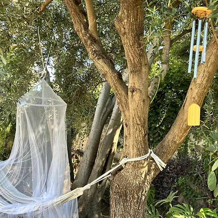 Casa Del Sileno 12 Daire *