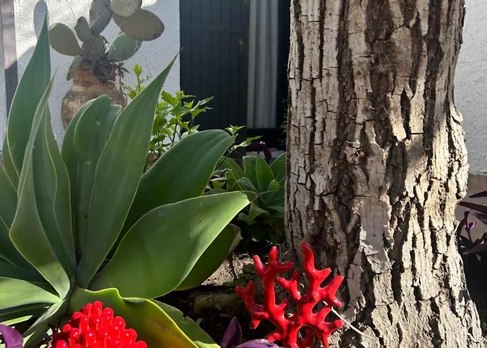 Casa Del Sileno 12 Apartment