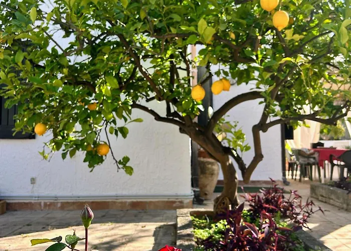 Casa Del Sileno 12 *